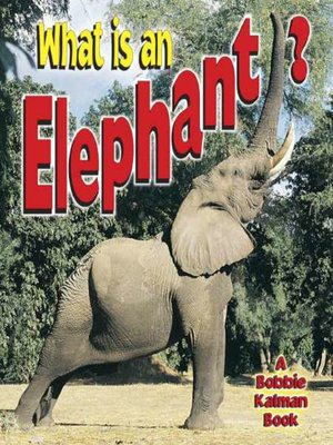 cover image of What is an Elephant?